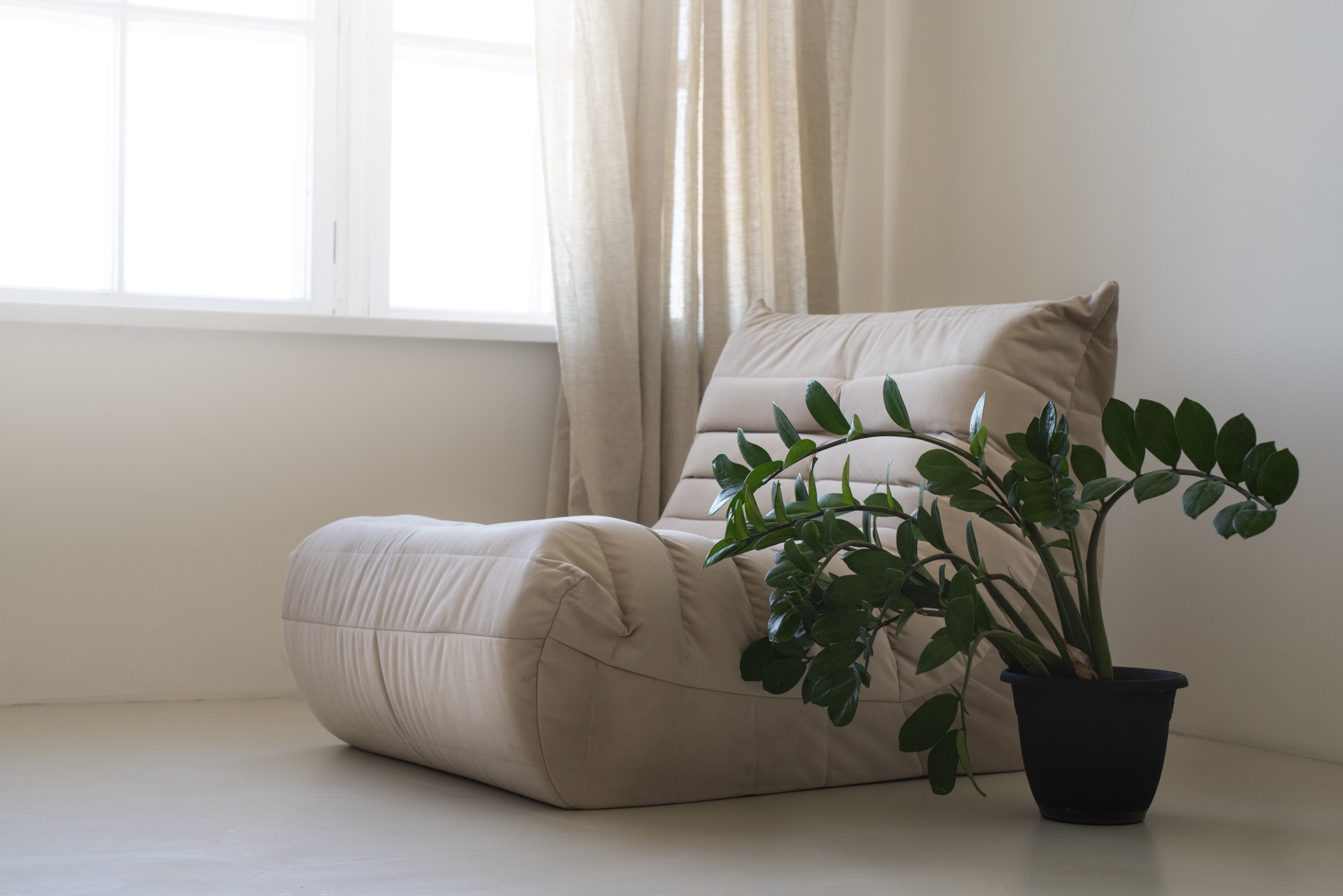 Bedroom Plants That’ll Improve Your Health